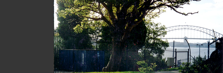 Garden Island