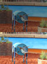 Woolloomooloo, Sydney Cows